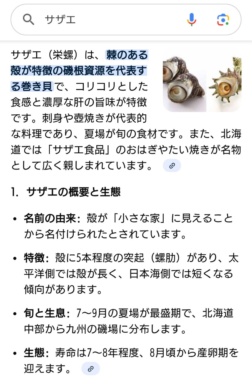 f:id:SAKI001:20260130081857j:image f:id:SAKI001:20260130081857j:image