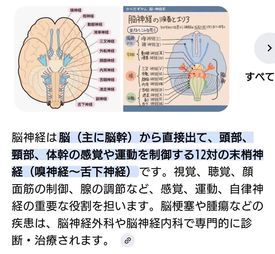 f:id:SAKI001:20260214222944j:image