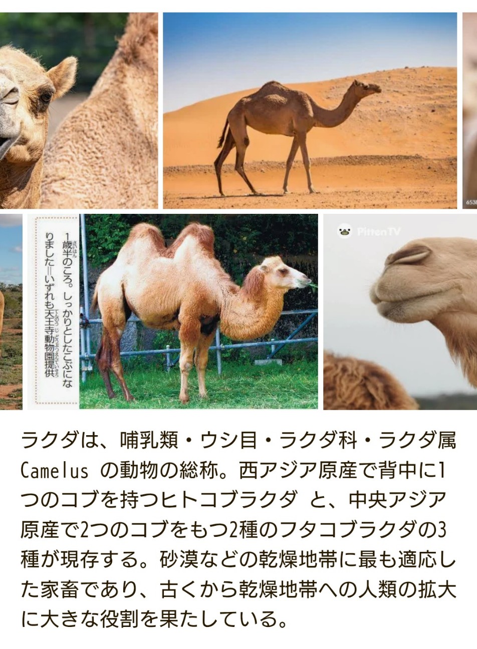f:id:SAKI001:20260215065355j:image