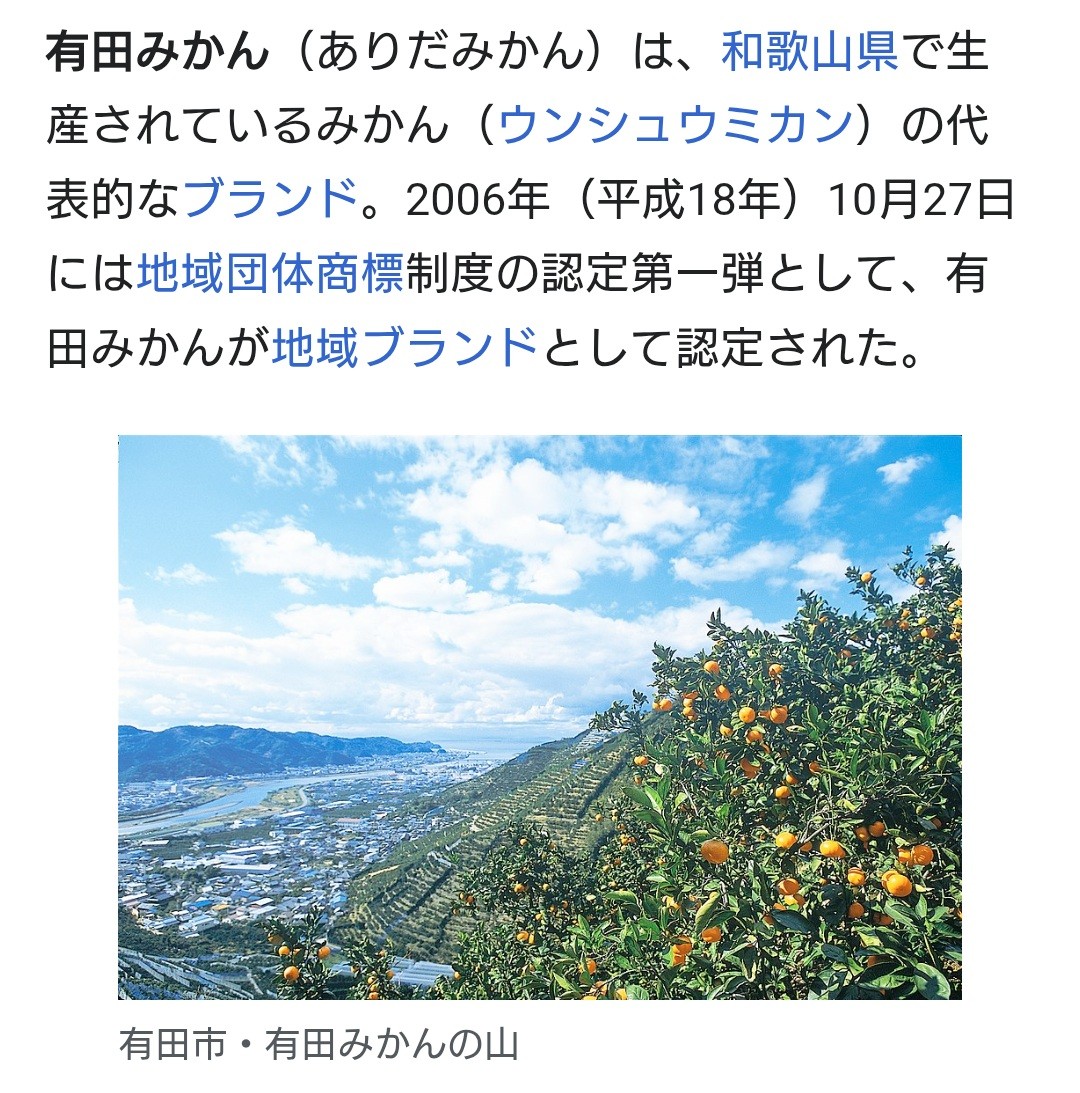 f:id:SAKI001:20260215115427j:image