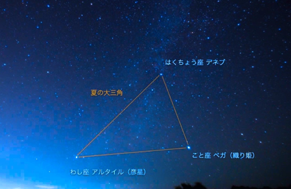 f:id:SAKI001:20260429001602j:image f:id:SAKI001:20260429001602j:image
