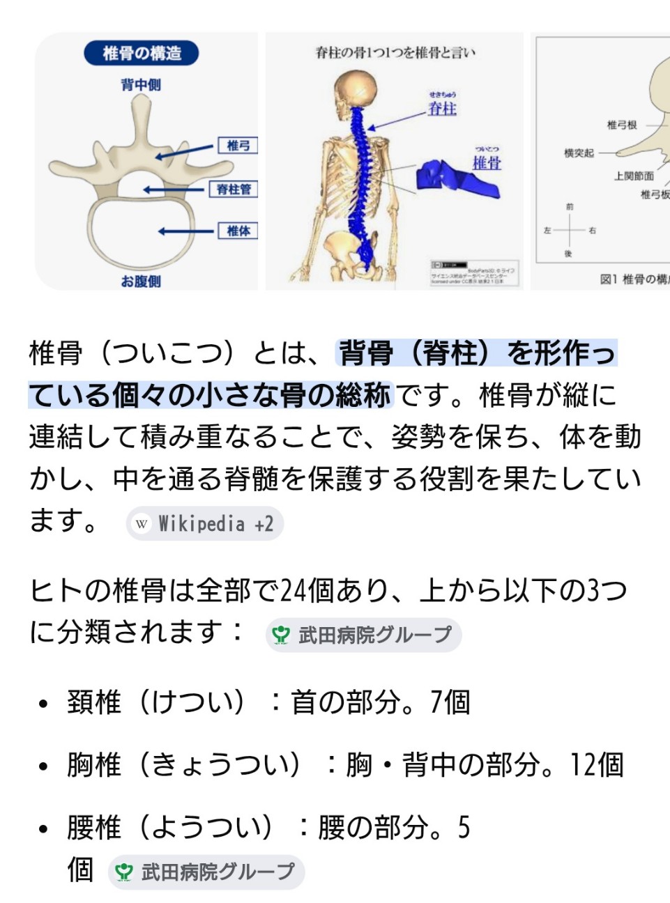 f:id:SAKI001:20260603152423j:image