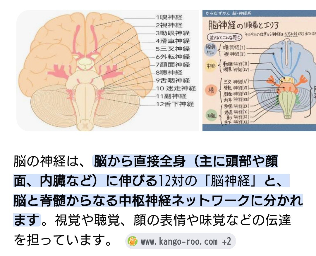 f:id:SAKI001:20260603152430j:image