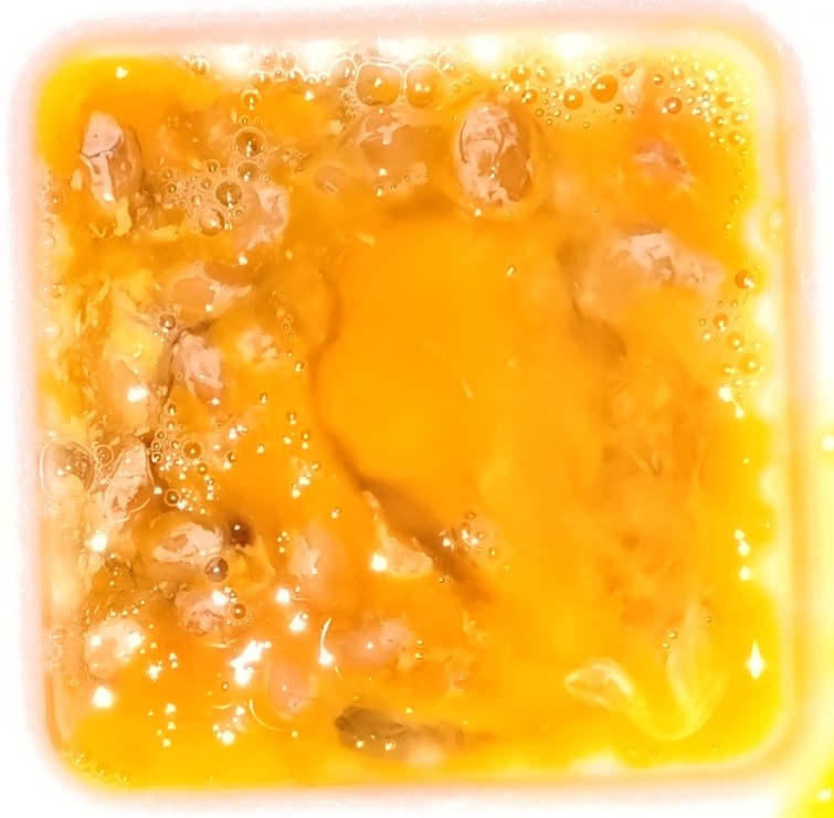 f:id:SAKI001:20260605194331j:image f:id:SAKI001:20260605194331j:image