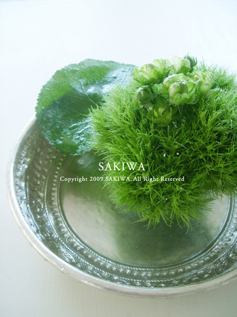 f:id:SAKIWA:20090726115037j:image