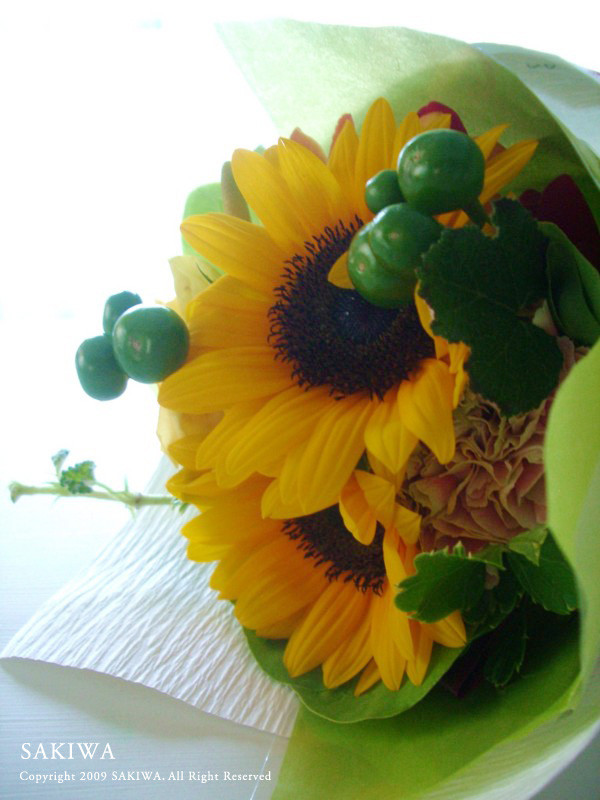 f:id:SAKIWA:20090823065119j:image