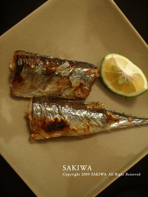 f:id:SAKIWA:20090914211311j:image