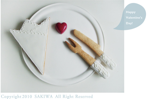 f:id:SAKIWA:20100215121143j:image