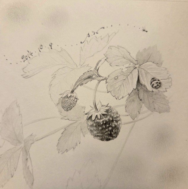 f:id:SAKURAnoTUBOMI:20250930102323j:image