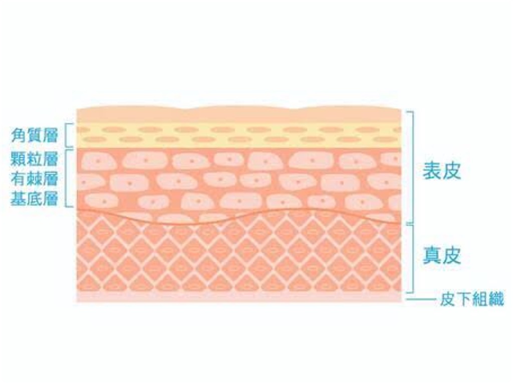 f:id:SALONIA:20210803202951j:image f:id:SALONIA:20210803202951j:image