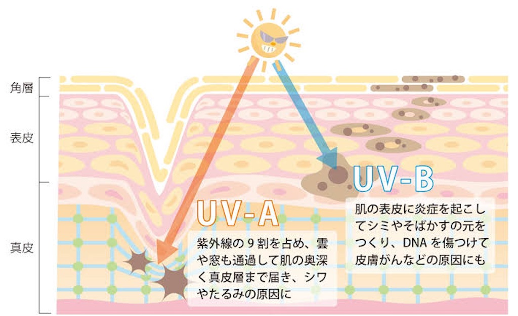 f:id:SALONIA:20210803210032j:image f:id:SALONIA:20210803210032j:image
