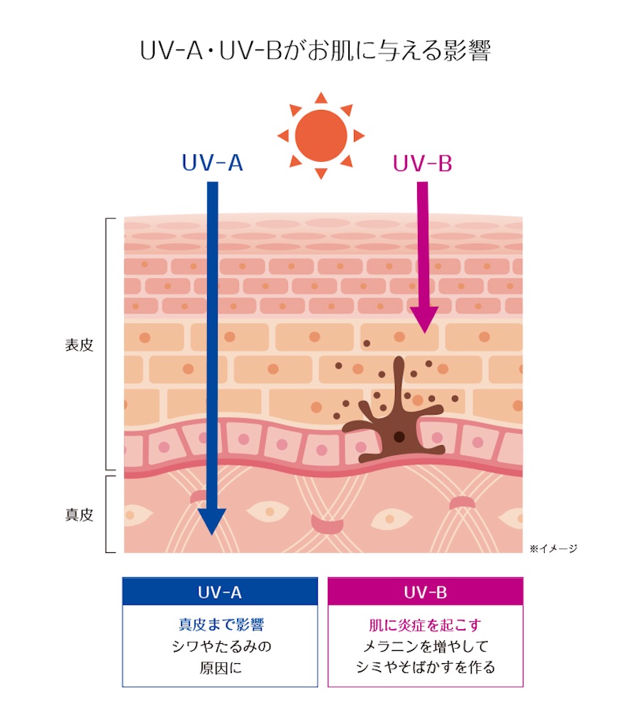 f:id:SALONIA:20210807162044j:image f:id:SALONIA:20210807162044j:image