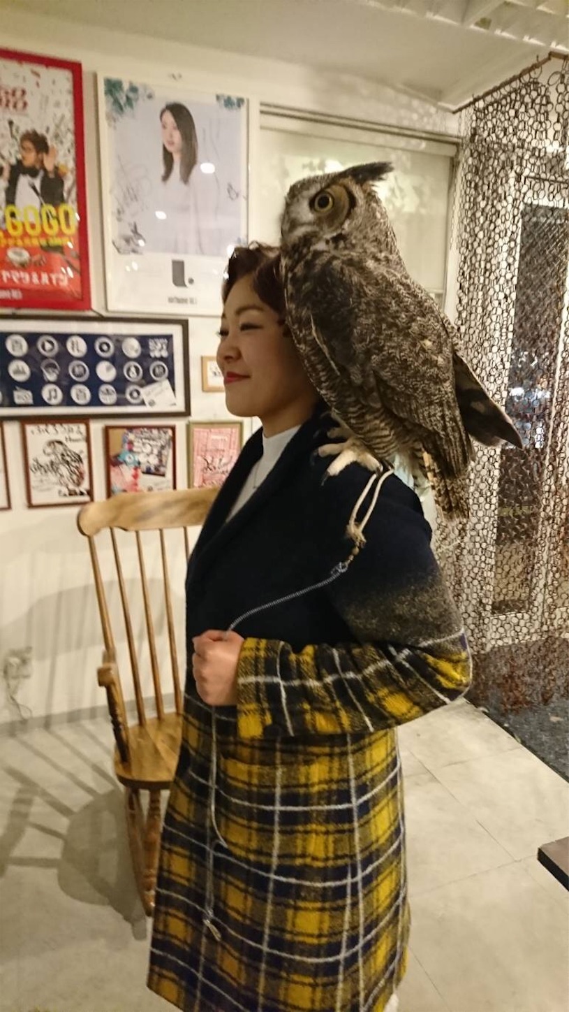 f:id:SALT_OVER:20181115140110j:image