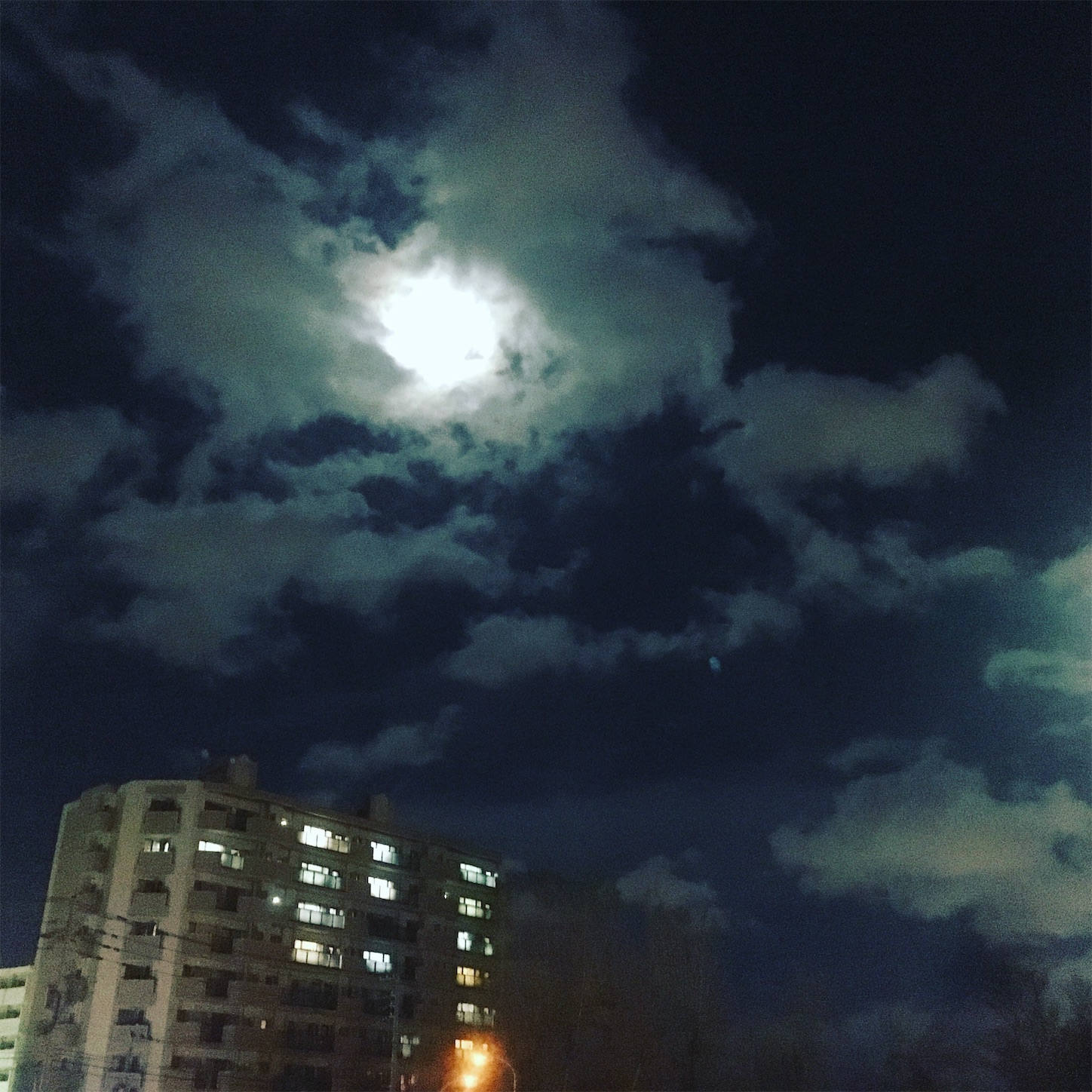 f:id:SALT_OVER:20181125225347j:image