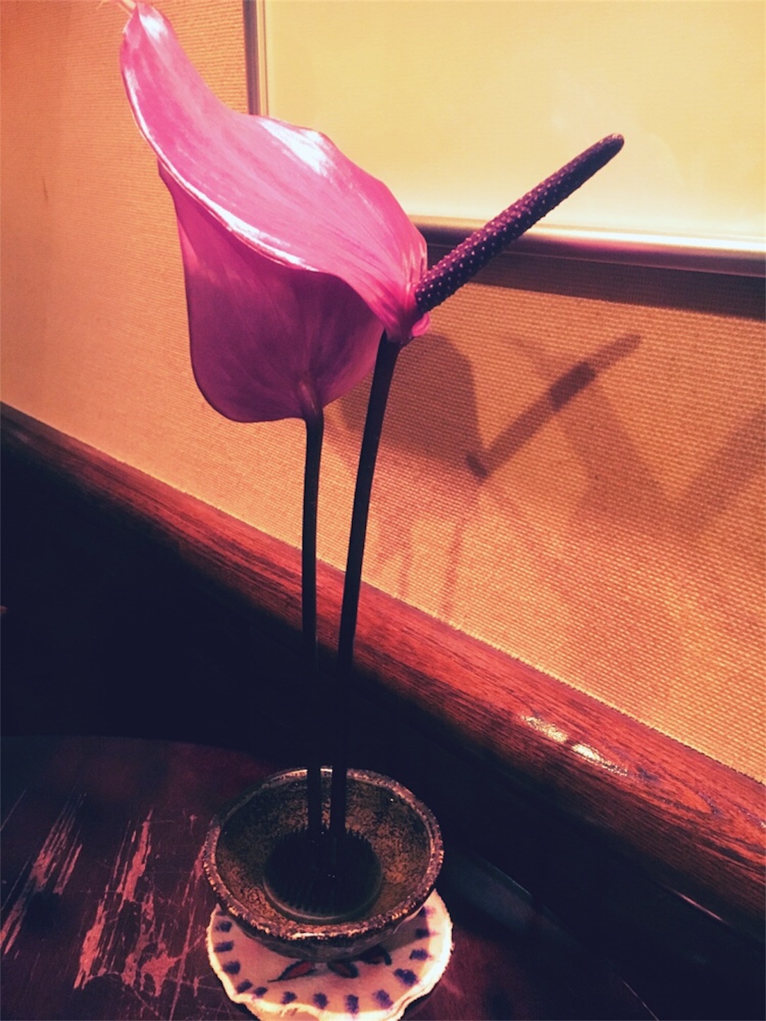f:id:SALT_OVER:20190314231135j:image