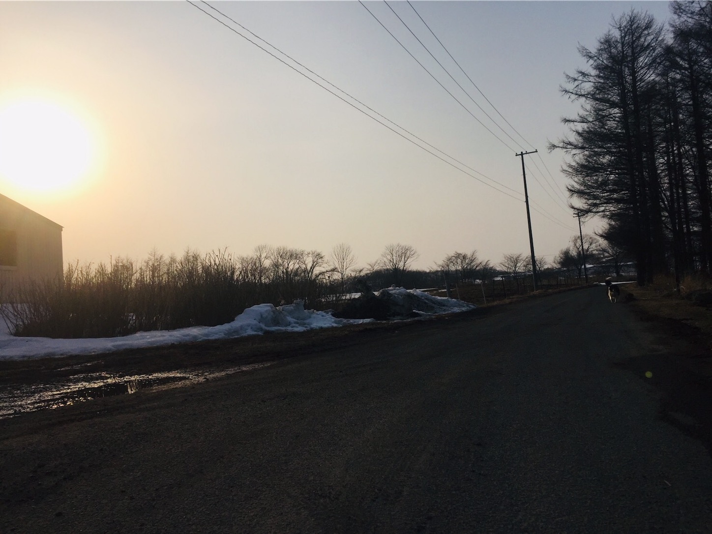 f:id:SALT_OVER:20190325114523j:image