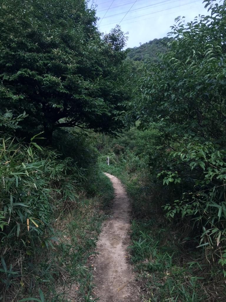 f:id:SANNY7:20171001163001j:plain f:id:SANNY7:20171001163001j:plain