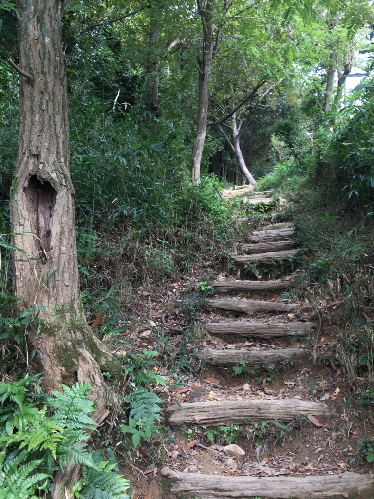 f:id:SANNY7:20171001163058j:plain f:id:SANNY7:20171001163058j:plain