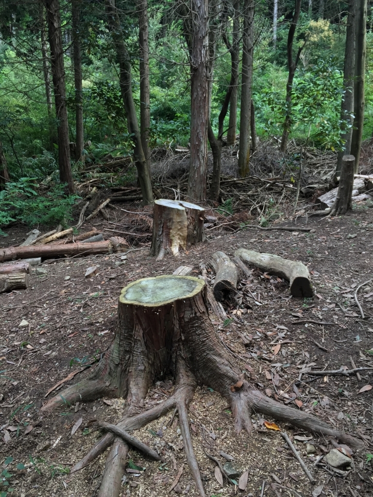 f:id:SANNY7:20171001164112j:plain f:id:SANNY7:20171001164112j:plain