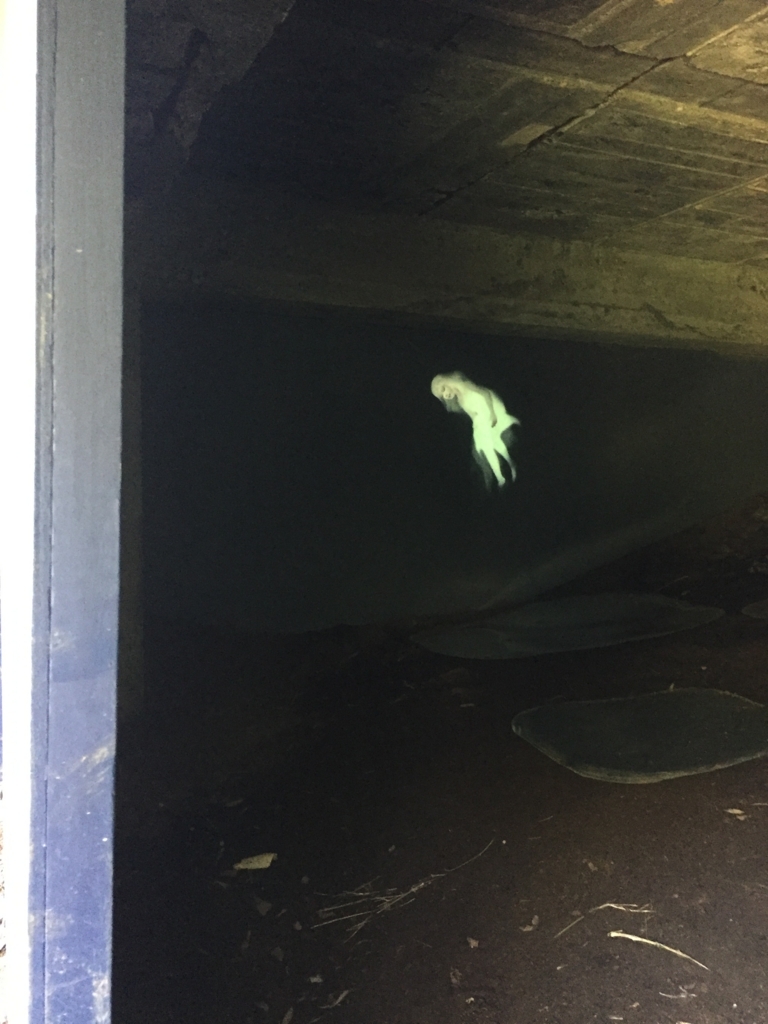 f:id:SANNY7:20171001184631j:plain f:id:SANNY7:20171001184631j:plain