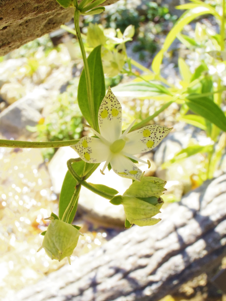 f:id:SANNY7:20171001190102j:plain f:id:SANNY7:20171001190102j:plain