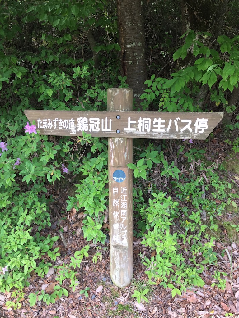 f:id:SANNY7:20180513084722j:image f:id:SANNY7:20180513084722j:image