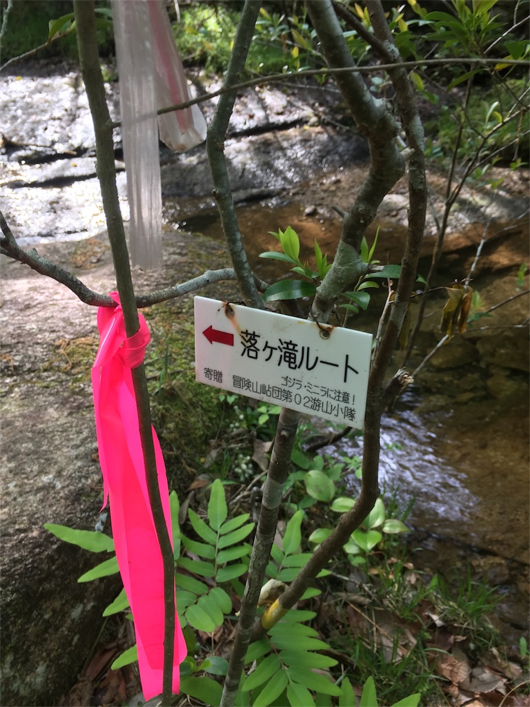 f:id:SANNY7:20180513085741j:image f:id:SANNY7:20180513085741j:image