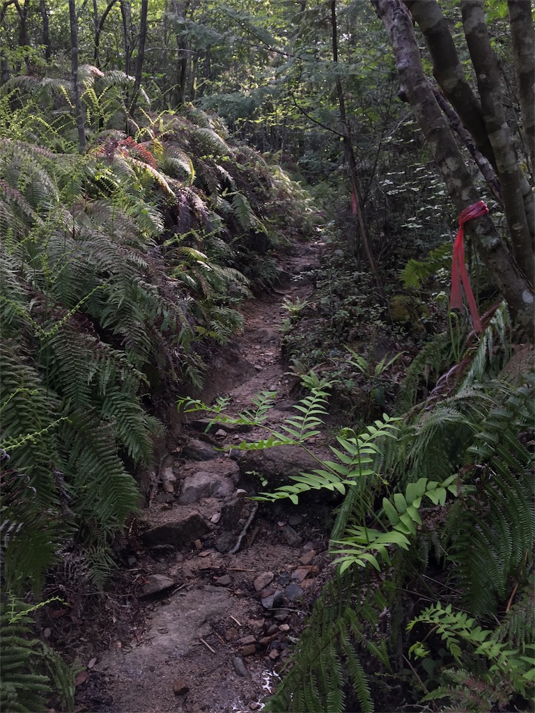 f:id:SANNY7:20180513090050j:image f:id:SANNY7:20180513090050j:image