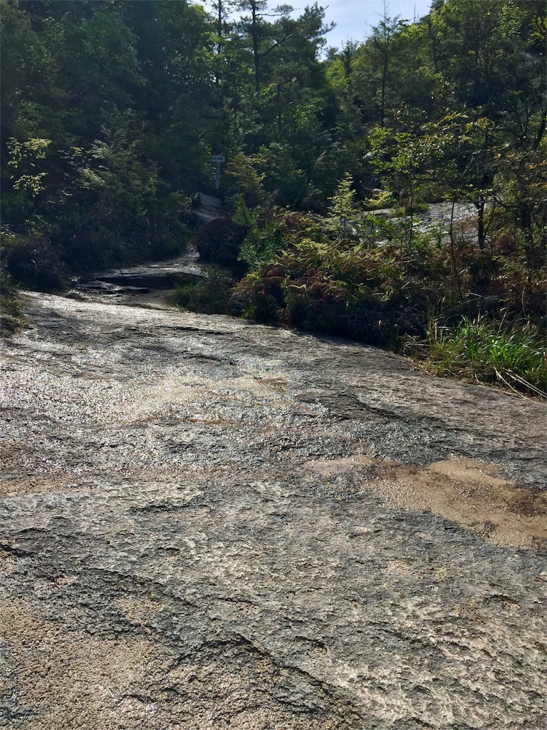 f:id:SANNY7:20180513090942j:image f:id:SANNY7:20180513090942j:image