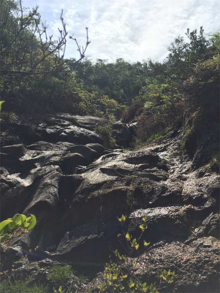 f:id:SANNY7:20180513091402j:image f:id:SANNY7:20180513091402j:image