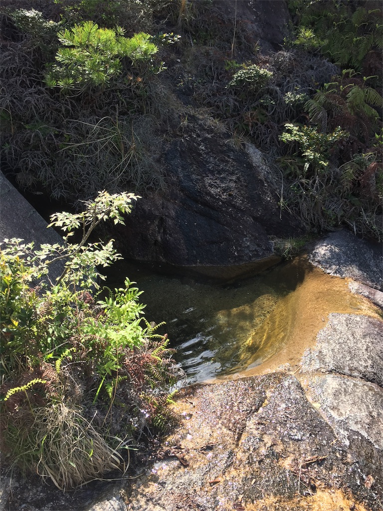 f:id:SANNY7:20180513092110j:image f:id:SANNY7:20180513092110j:image