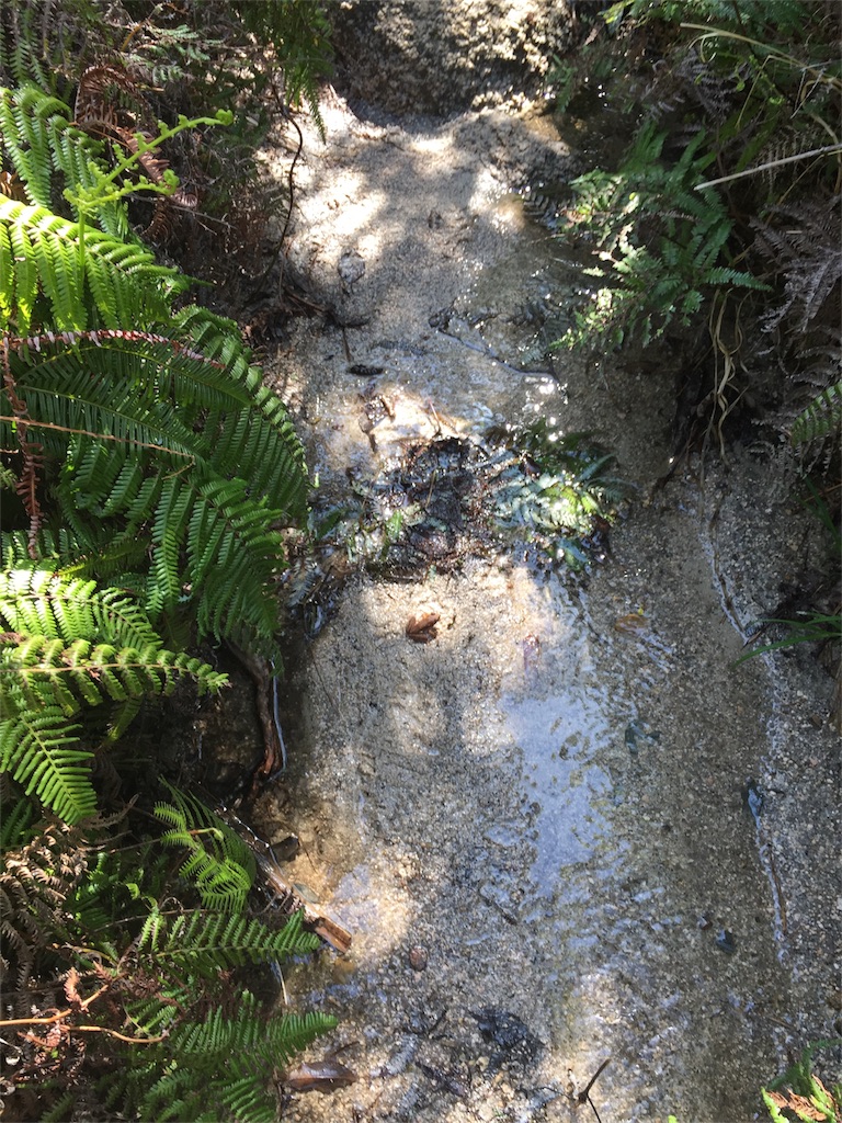 f:id:SANNY7:20180513093225j:image f:id:SANNY7:20180513093225j:image