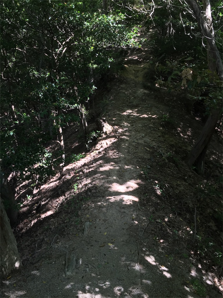 f:id:SANNY7:20180513093652j:image f:id:SANNY7:20180513093652j:image