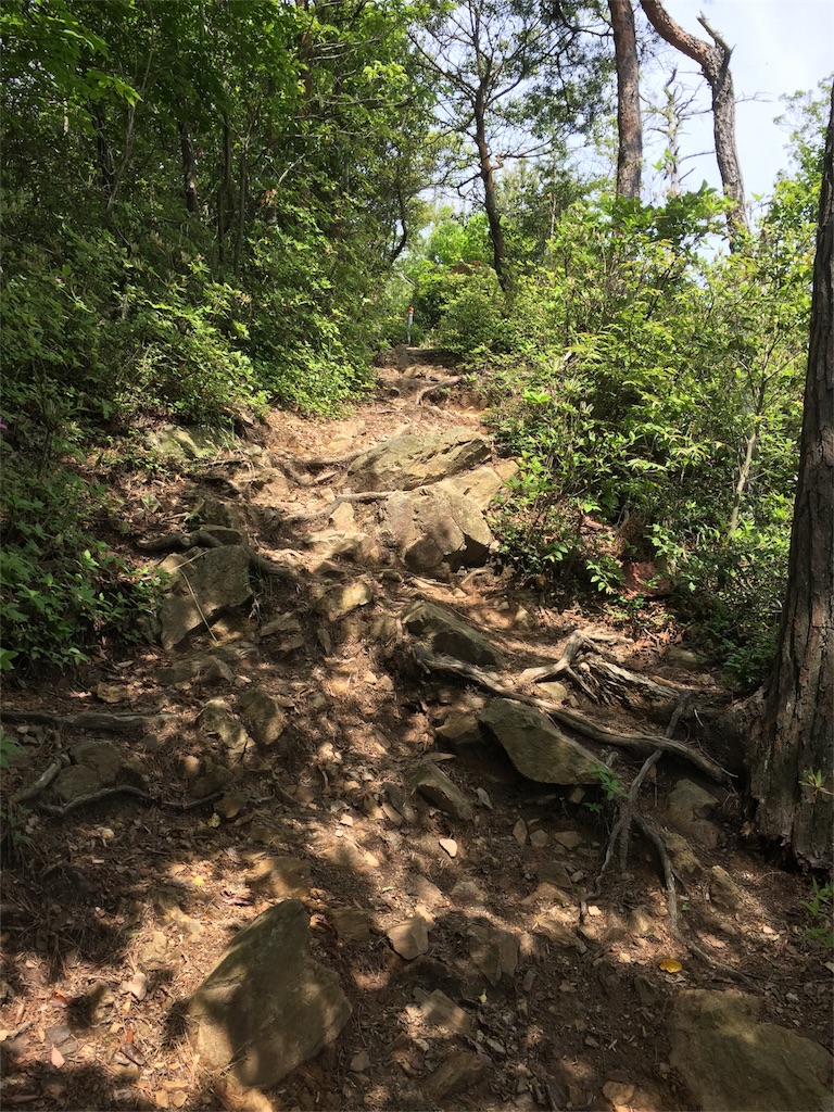 f:id:SANNY7:20180513093948j:image f:id:SANNY7:20180513093948j:image