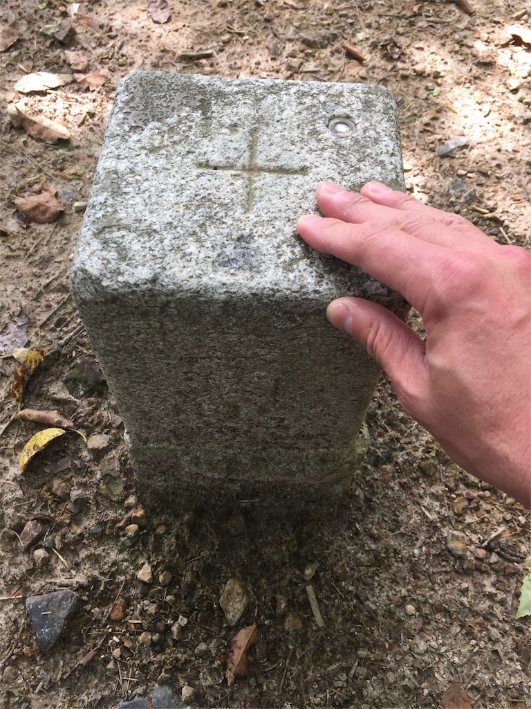 f:id:SANNY7:20180513094855j:image f:id:SANNY7:20180513094855j:image