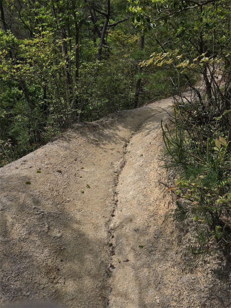 f:id:SANNY7:20180513095440j:image f:id:SANNY7:20180513095440j:image