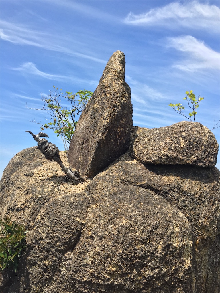 f:id:SANNY7:20180513100204j:image f:id:SANNY7:20180513100204j:image