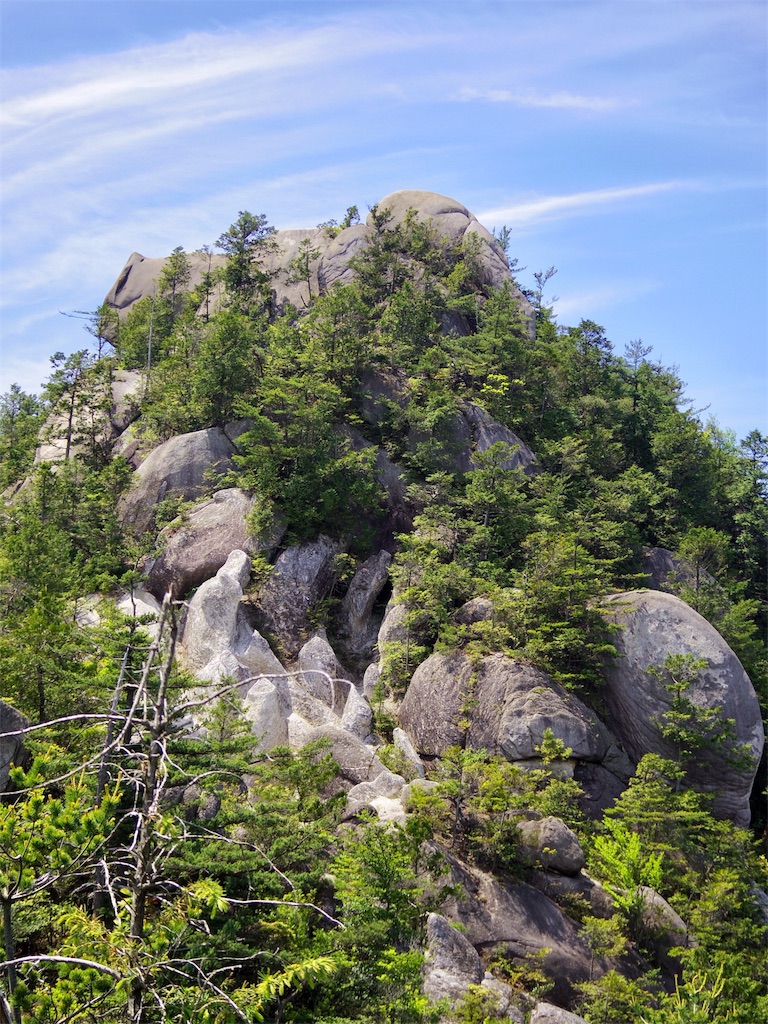 f:id:SANNY7:20180513101039j:image f:id:SANNY7:20180513101039j:image