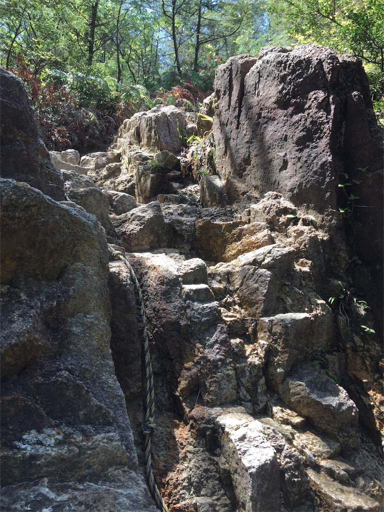 f:id:SANNY7:20180513102134j:image f:id:SANNY7:20180513102134j:image