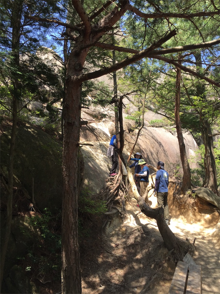 f:id:SANNY7:20180513102703j:image f:id:SANNY7:20180513102703j:image