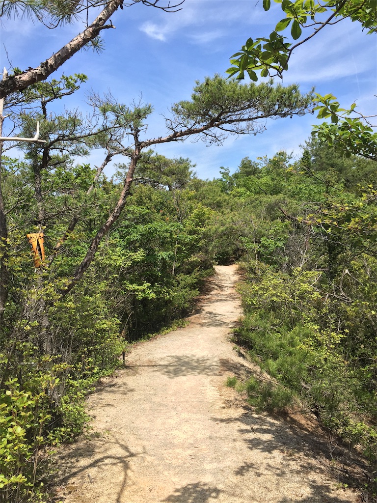 f:id:SANNY7:20180513112501j:image f:id:SANNY7:20180513112501j:image