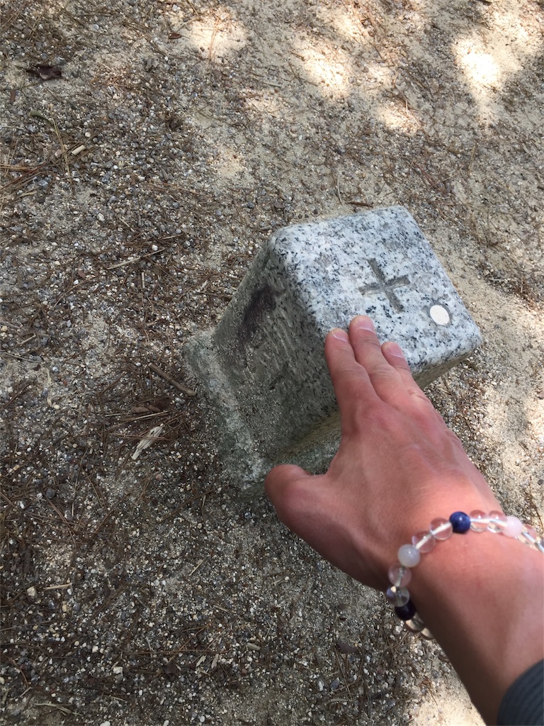 f:id:SANNY7:20180513113258j:image f:id:SANNY7:20180513113258j:image