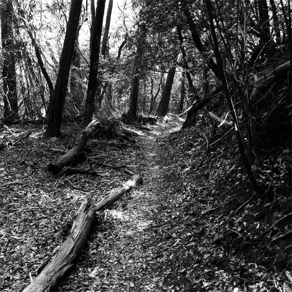 f:id:SANNY7:20180513115749j:image f:id:SANNY7:20180513115749j:image