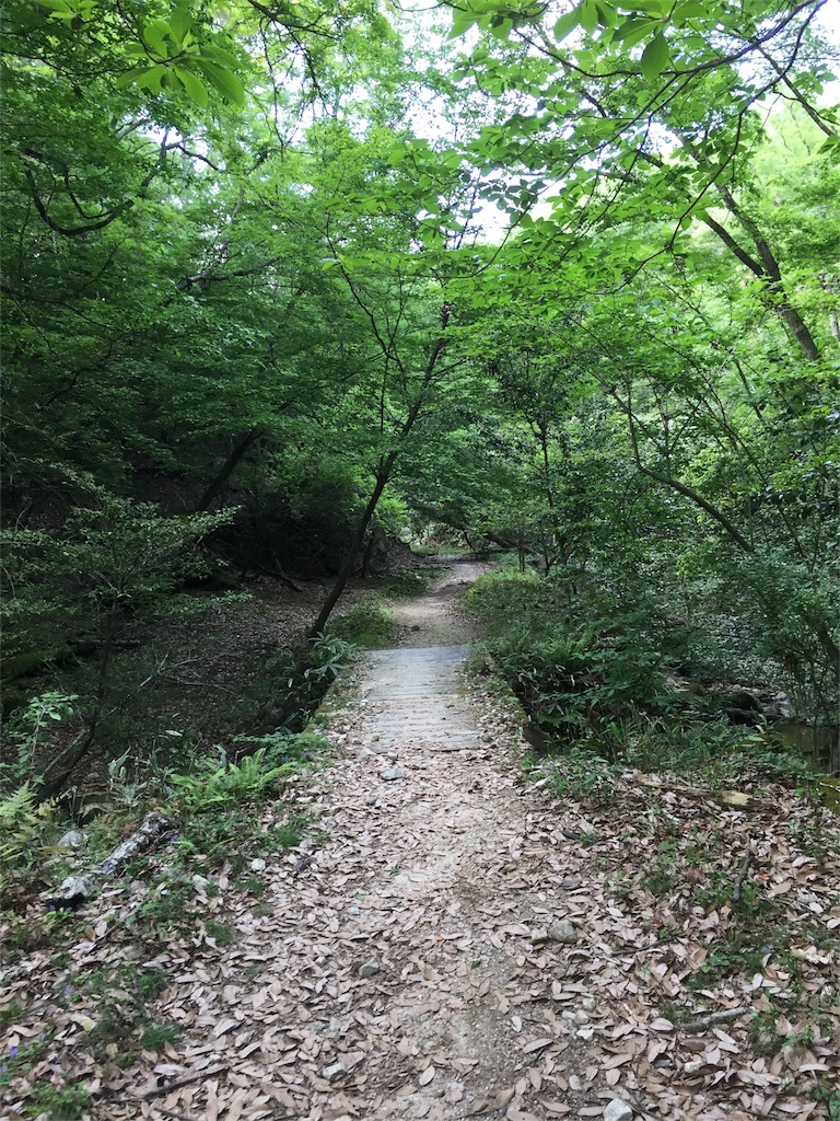 f:id:SANNY7:20180513120254j:image f:id:SANNY7:20180513120254j:image