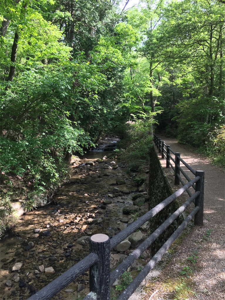 f:id:SANNY7:20180513120339j:image f:id:SANNY7:20180513120339j:image