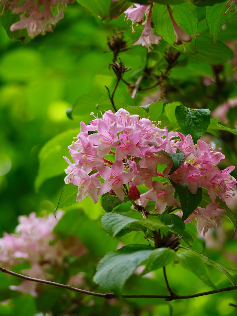 f:id:SANNY7:20180513120754j:image f:id:SANNY7:20180513120754j:image