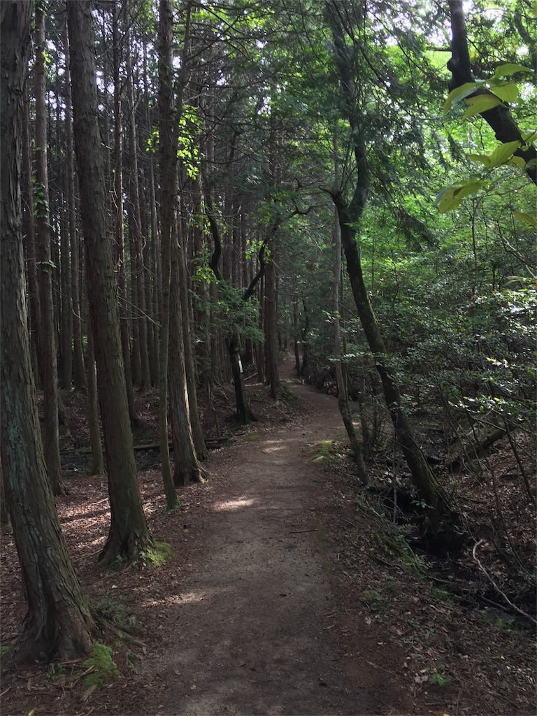 f:id:SANNY7:20180513131245j:image f:id:SANNY7:20180513131245j:image