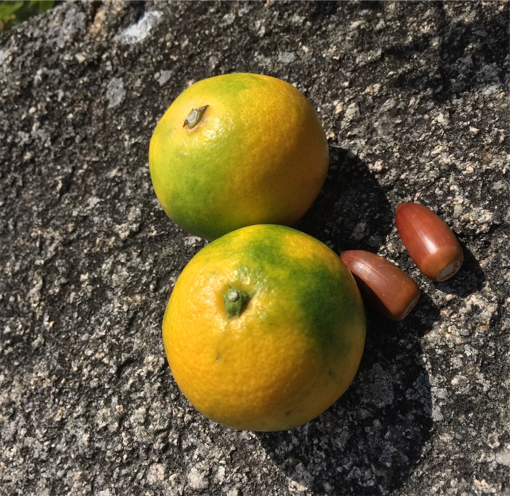 f:id:SANNY7:20191009104342j:image f:id:SANNY7:20191009104342j:image