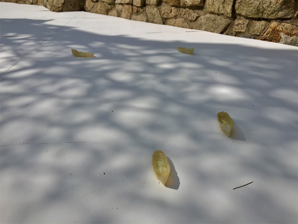 f:id:SANNY7:20191009110912j:image f:id:SANNY7:20191009110912j:image