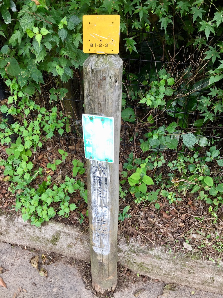 f:id:SANNY7:20191009110952j:image f:id:SANNY7:20191009110952j:image